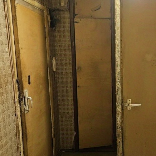 1-комн квартира пос. Романовка, 19