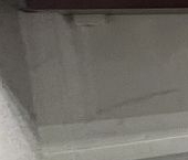 Сдать в аренду Квартиры вторичка Окская улица, 16К2   