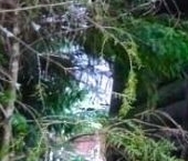 Продать Дачи, коттеджи, загородные дома Новожилово массив, Рассвет СНТ, 247   