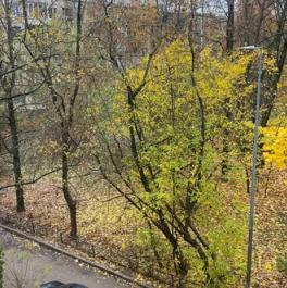 Продажа 2-комн квартиры на вторичном рынке ул Солдата Корзуна,  д. 15
