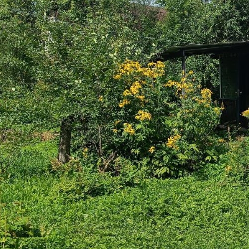 Коттедж/дом Красное Село, Дружба СНТ