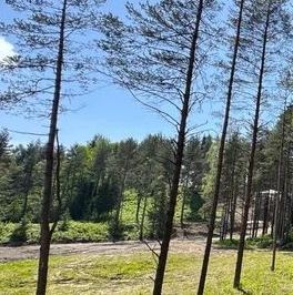 Продажа земли ХиллСайд кп, д. Мистолово