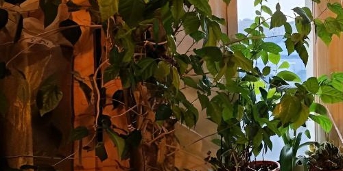 3-комн квартира Наличная улица, 15