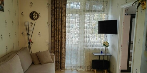 1-комн квартира Дибуновская улица,  д. 50