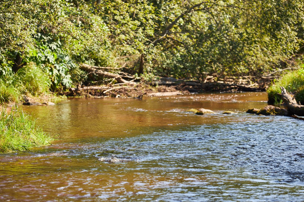 Продажа земли Ленинское кп, пос. Ленинское