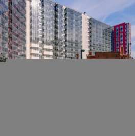 Продажа 1-комн квартиры на вторичном рынке Мурино г, Ручьевский пр-кт,  д. 20 с1