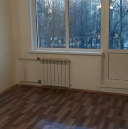 Аренда 1-комн квартиры на вторичном рынке ул Антонова-Овсеенко,  д. 23,  к. 2