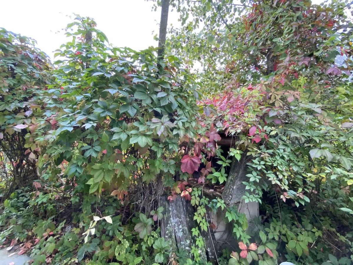 Продажа дома Солнечный СНТ, улица 28-я