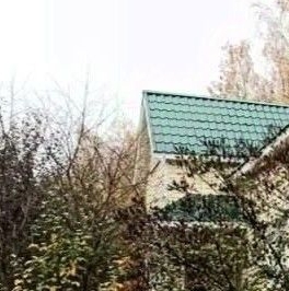 Продажа дома д. Бор, аллея Березовая, 1 Продажа дома д. Бор, аллея Березовая, 1