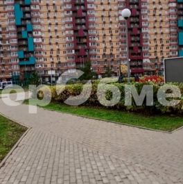 Продажа 1-комн квартиры на вторичном рынке Мисайлово д, Пригородное (Пригород Лесное мкр) ш