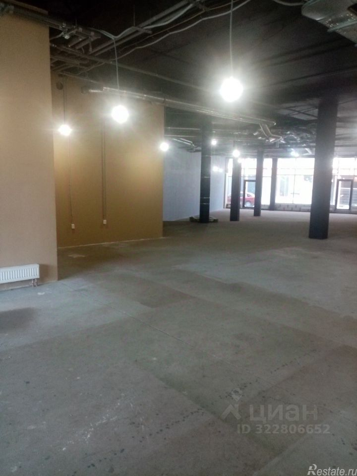 Аренда ПСН Заневский пр-кт,  д. 65 к1