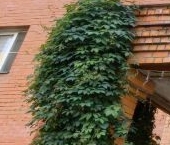 Продать Квартиры вторичка Дмитров, Сиреневая улица, 7   