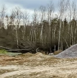 Продажа земли Охтинское раздолье кп, д. Мистолово, д. 56 Продажа земли Охтинское раздолье кп, д. Мистолово, д. 56