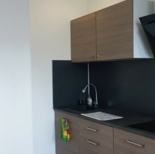 1-комн квартира Мурино, пр-кт Авиаторов Балтики,  д. 15