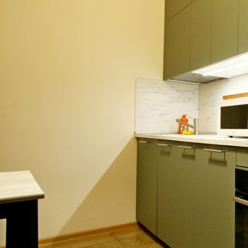 1-комн квартира Приморский проспект, 52К1