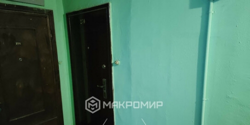 1-комн квартира Маршала Жукова пр-кт,  д. 26/16