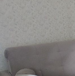 Аренда 1-комн квартиры на вторичном рынке д. Кипень, шоссе Ропшинское, 21 Аренда 1-комн квартиры на вторичном рынке д. Кипень, шоссе Ропшинское, 21