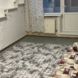Продажа 1-комн квартиры на вторичном рынке улица Доблести,  д. 24 к1