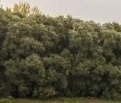 Продать Квартиры вторичка улица Улофа Пальме, 7   