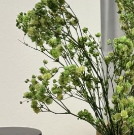 Аренда студии Пулковское шоссе, 99к6