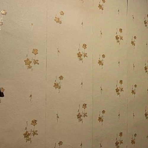 2-комн квартира д. Калгановка, 3