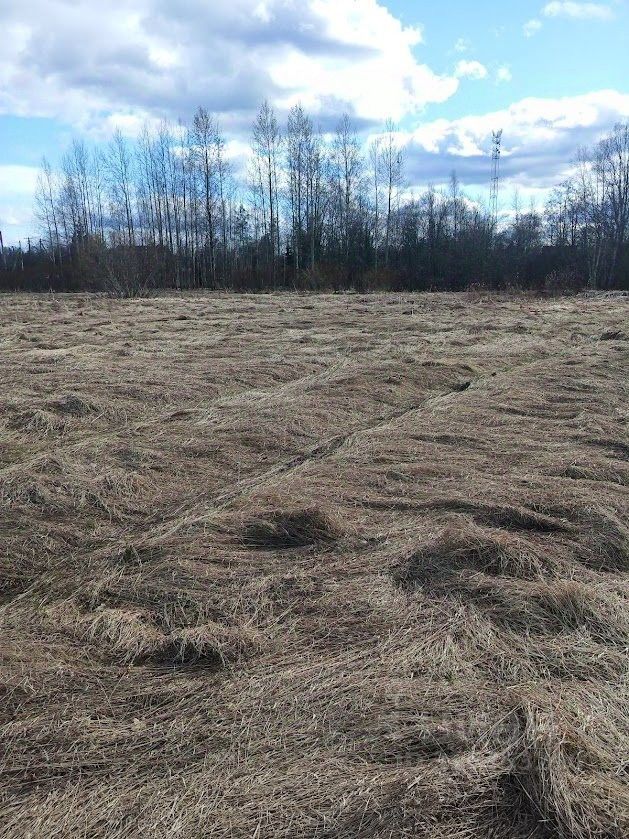 Продажа земли д. Долговка, улица Ленина, 29
