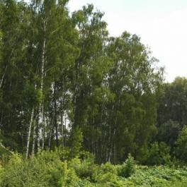 Продажа 4-комн квартиры в новостройке Бородино, Малая Бородинская улица,  д. 1 к1