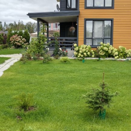 Коттедж/дом Сойкино, Дачная улица,  д. 10