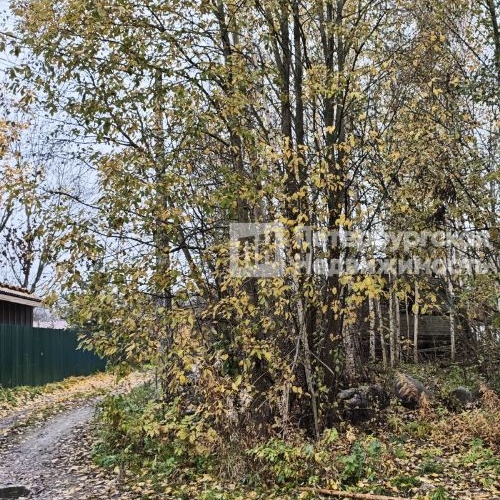 Земельный участок пос. Ларионово, улица Заречная