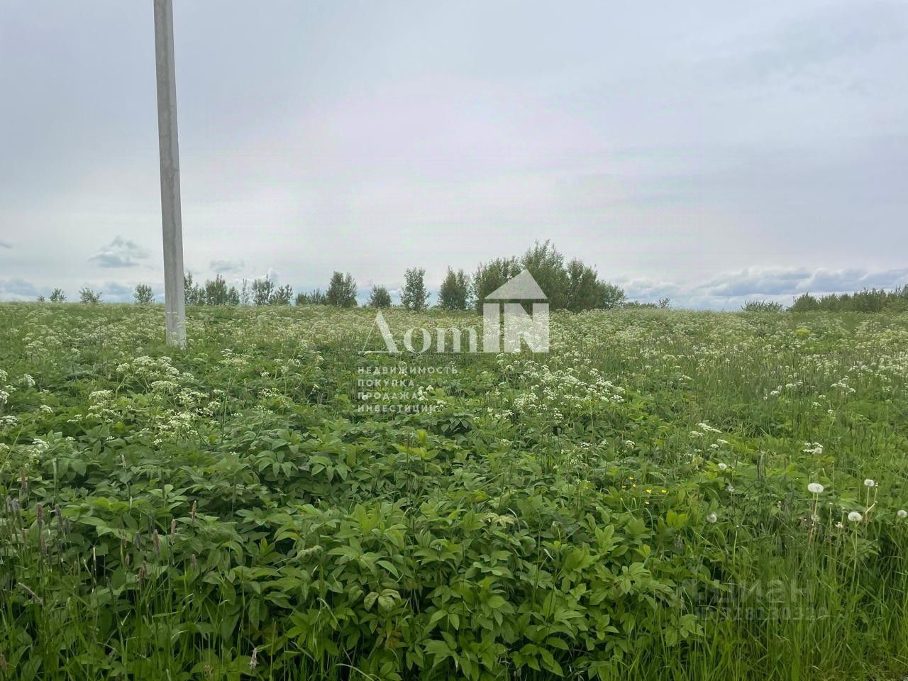Продажа земли Урочище Юрьево тер., д. Широково