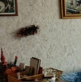 Продажа 1-комн квартиры на вторичном рынке улица Молодцова, 31К2 Продажа 1-комн квартиры на вторичном рынке улица Молодцова, 31К2