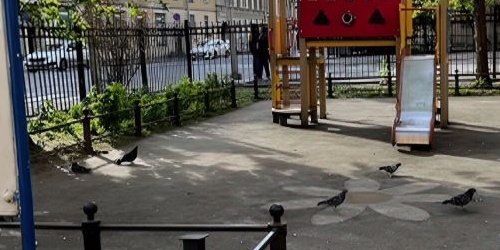 Комната 8-я Советская улица, 34