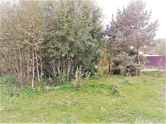 Продажа земли Новая Ладога, Суворова пер