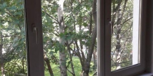 2-комн квартира Ольги Форш ул,  д. 3