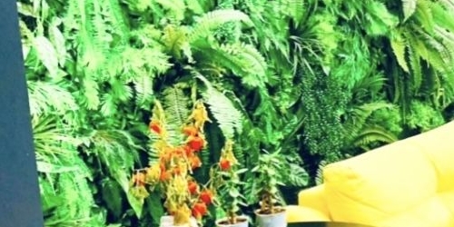 Студия улица Шкулева, 13/25С3