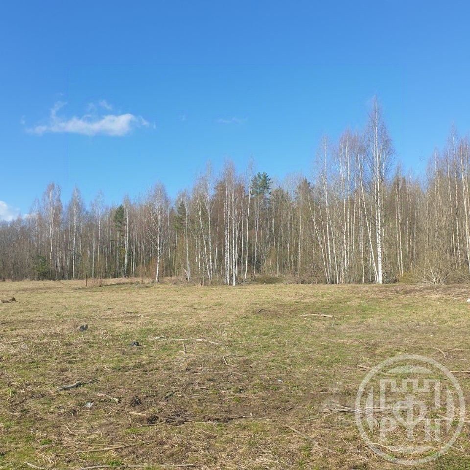 Продажа земли д. Кирково, 3
