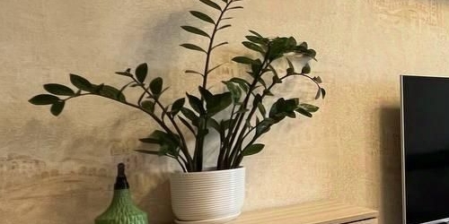 1-комн квартира Екатерининский проспект, 2