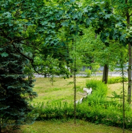 Продажа 1-комн квартиры в новостройке Санаторная аллея, 3 Продажа 1-комн квартиры в новостройке Санаторная аллея, 3