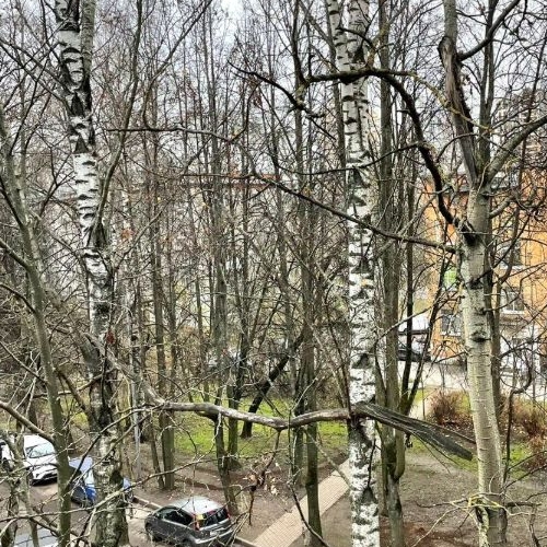 1-комн квартира Ланское шоссе, 24К2