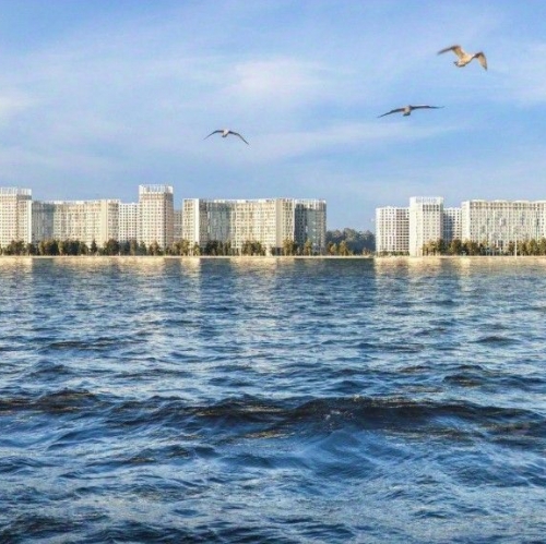 Помещение свободного назначения проспект Крузенштерна