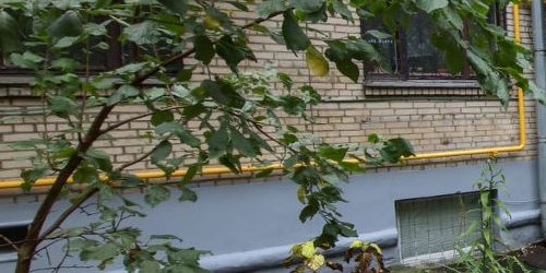 1-комн квартира улица Константина Симонова, 4