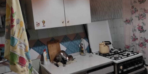 2-комн квартира Ромашки пос., Новостроек ул., 2