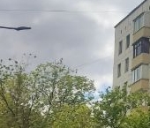 Продать Квартиры вторичка Верхняя Красносельская улица, 24   