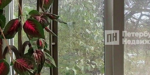 2-комн квартира Купчинская улица, 25/11