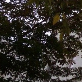 Продажа 4-комн квартиры на вторичном рынке 2-я Тверская-Ямская улица, 20-22С2