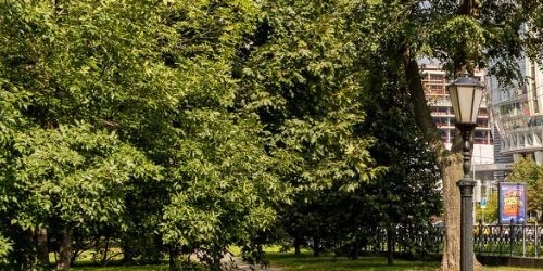 4-комн квартира Олимпийский проспект, 12