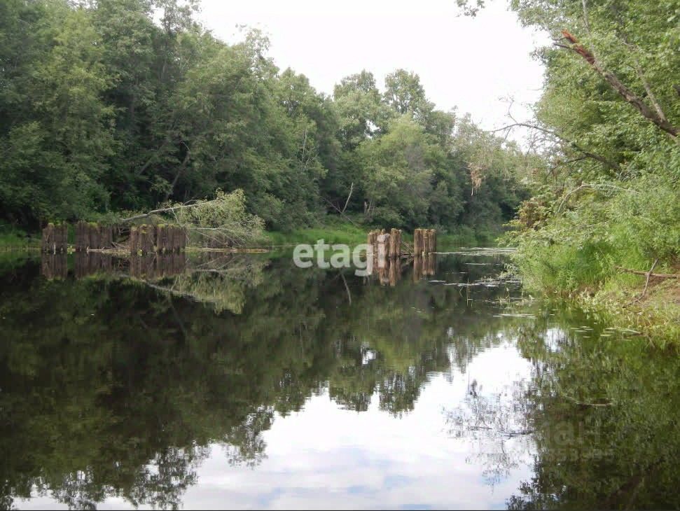 Продажа земли д. Подгородье, улица Новгородская