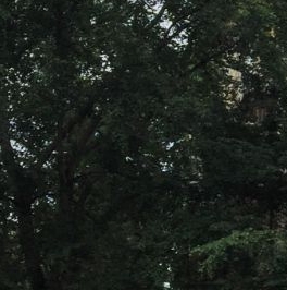 Продажа 3-комн квартиры на вторичном рынке Солнечногорская улица, 5К1