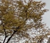 Продать Квартиры вторичка Никитинская улица, 5   