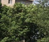 Продать Квартиры вторичка Пулковская улица, 1к2   